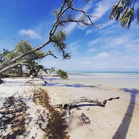 Tortuga Tillys Cape San Blas Kültér fotó