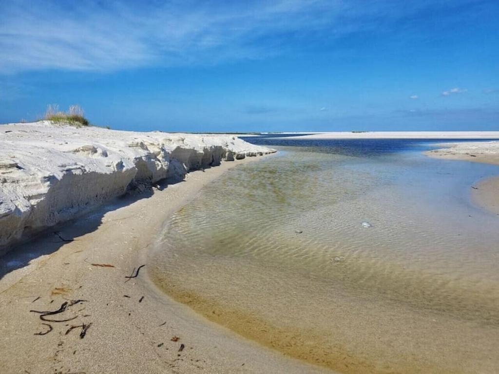Tortuga Tillys Cape San Blas Kültér fotó