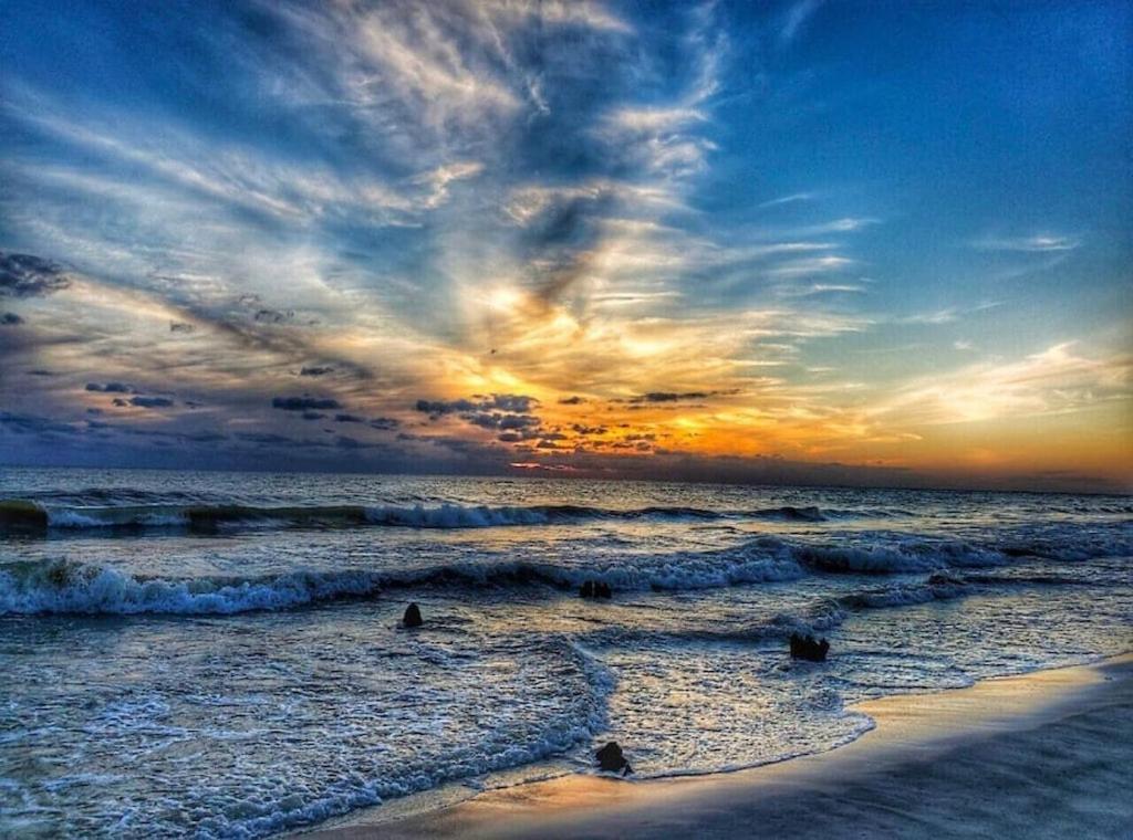 Tortuga Tillys Cape San Blas Kültér fotó