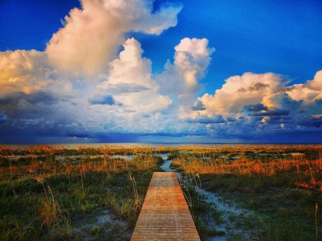 Tortuga Tillys Cape San Blas Kültér fotó