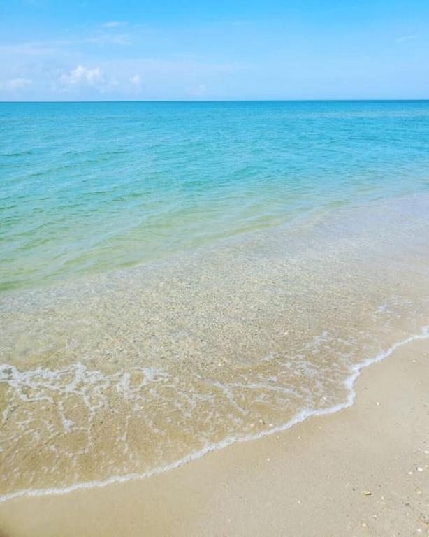 Tortuga Tillys Cape San Blas Kültér fotó