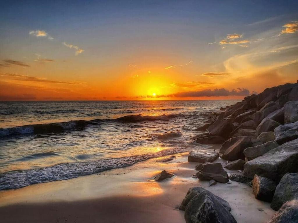 Tortuga Tillys Cape San Blas Kültér fotó