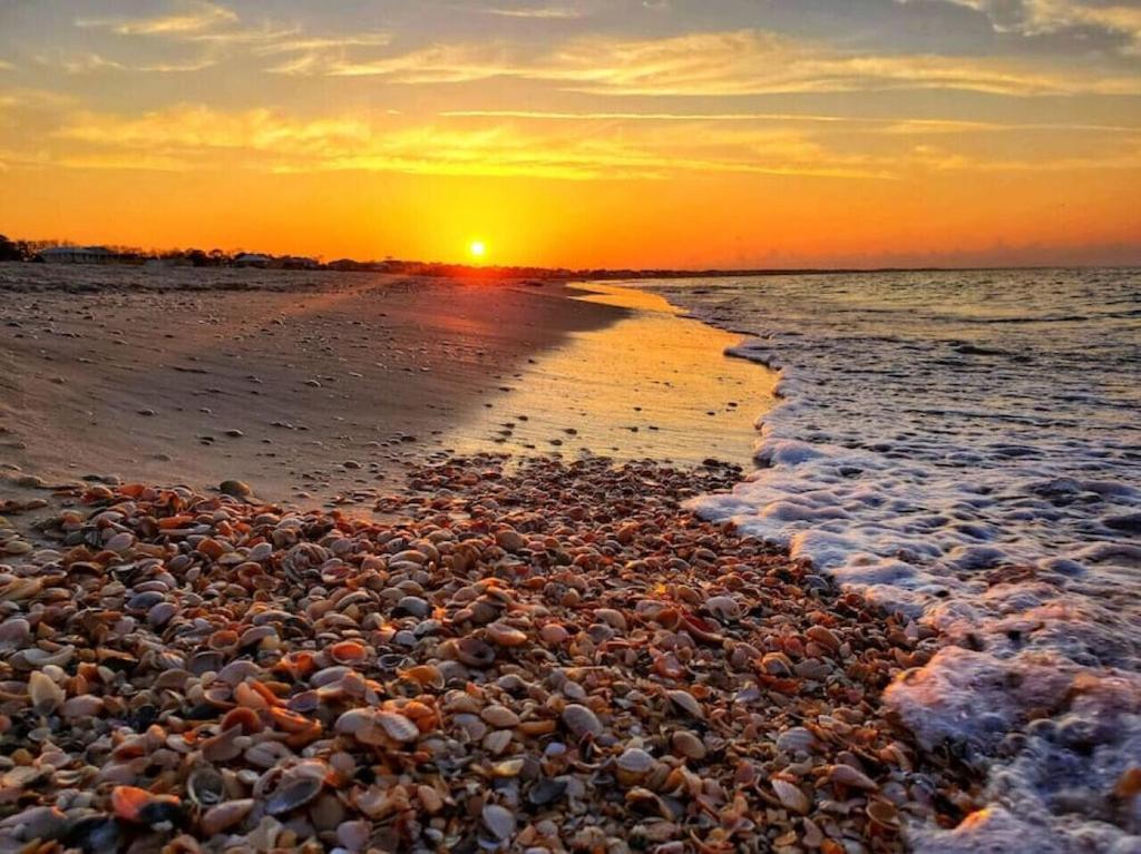 Tortuga Tillys Cape San Blas Kültér fotó
